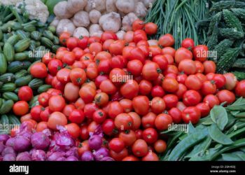 सल्यानका किसानले बेचे ४ महिनामै २४ करोड बढीको तरकारी