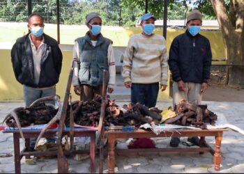 जरायोको ४० किलो सुकुटी र दुई थान भरुवा बन्दुक सहित बर्दियाबाट चार जना पक्राउ