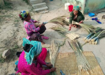अम्रिसोबाट आम्दानीको बाटो : पारथरी सामुदायिक वनको हरित अभियान सुरु