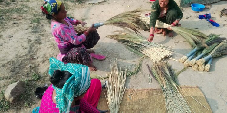अम्रिसोबाट आम्दानीको बाटो : पारथरी सामुदायिक वनको हरित अभियान सुरु