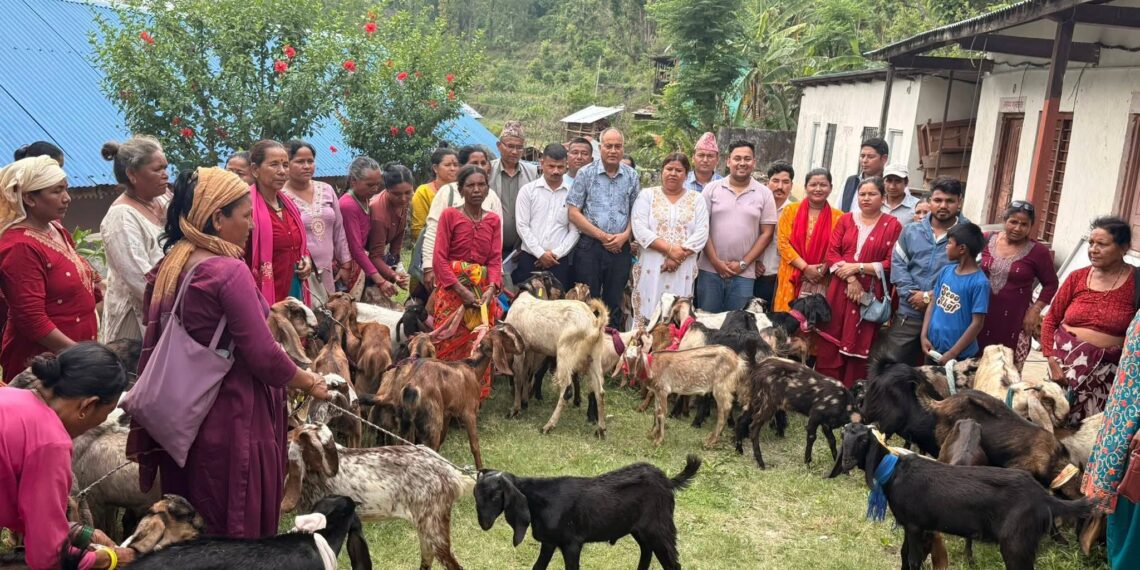 आत्मनिर्भरता अभिवृद्धिमा टेवा पुग्ने अपेक्षा सहित दलित एकल महिलालाई बोका–पाठी वितरण