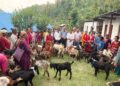 आत्मनिर्भरता अभिवृद्धिमा टेवा पुग्ने अपेक्षा सहित दलित एकल महिलालाई बोका–पाठी वितरण