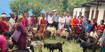 आत्मनिर्भरता अभिवृद्धिमा टेवा पुग्ने अपेक्षा सहित दलित एकल महिलालाई बोका–पाठी वितरण